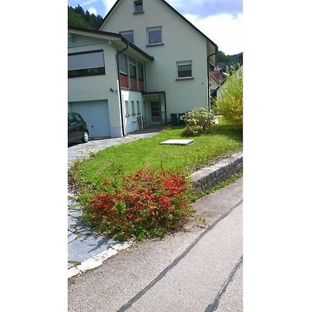 Haus Marion Διαμέρισμα Todtnau Εξωτερικό φωτογραφία