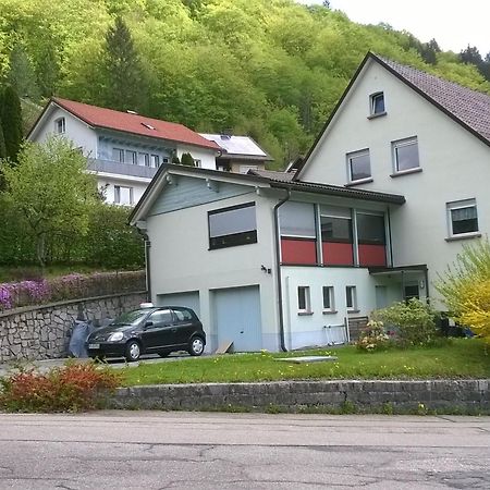 Haus Marion Διαμέρισμα Todtnau Εξωτερικό φωτογραφία