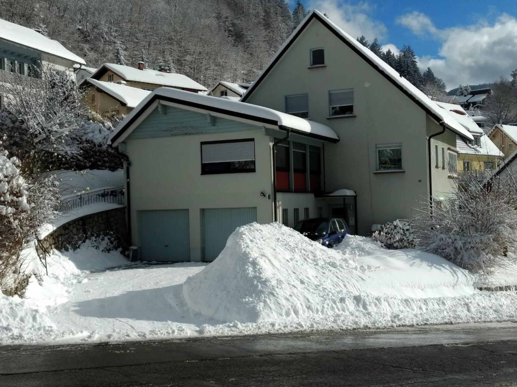 Haus Marion Διαμέρισμα Todtnau Εξωτερικό φωτογραφία